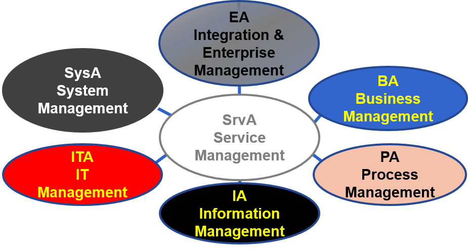 Service Management – Standard Business