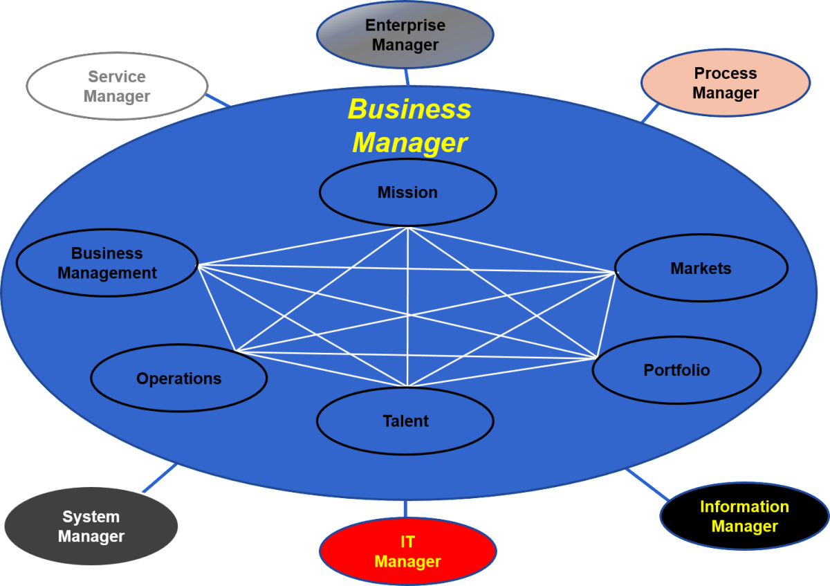 what is the role of business planning manager