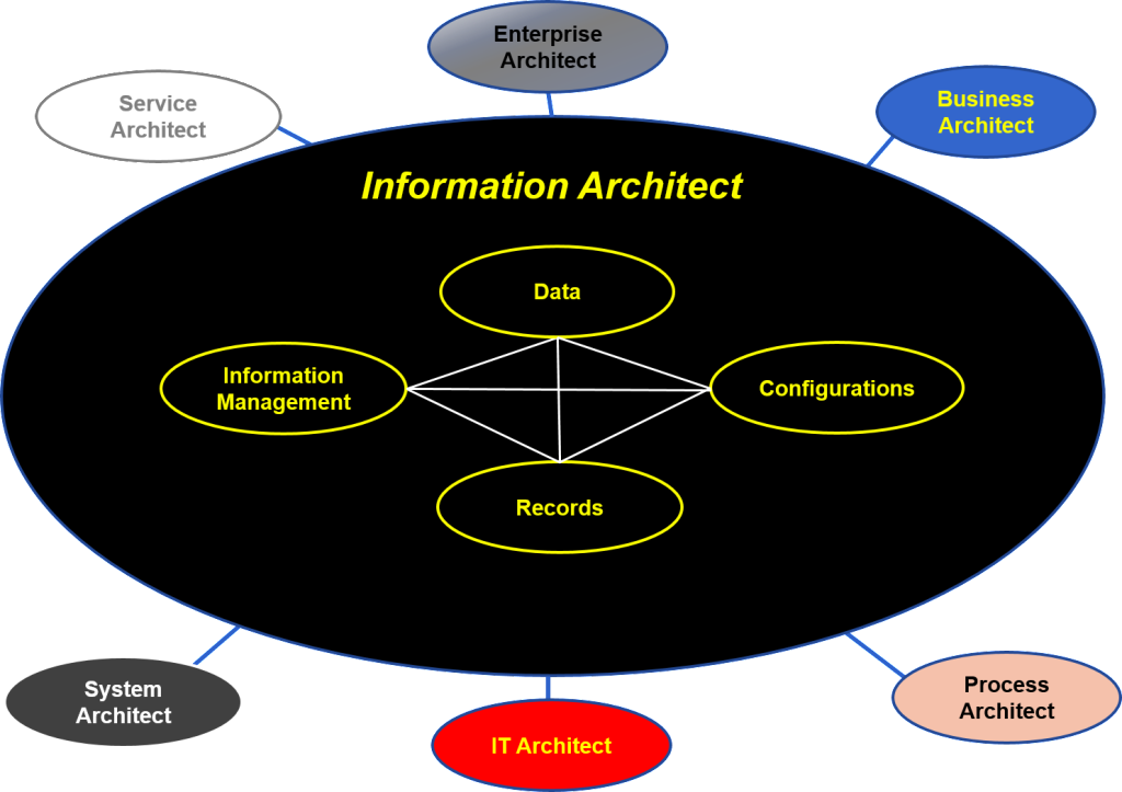 Information Architect Role Standard Business