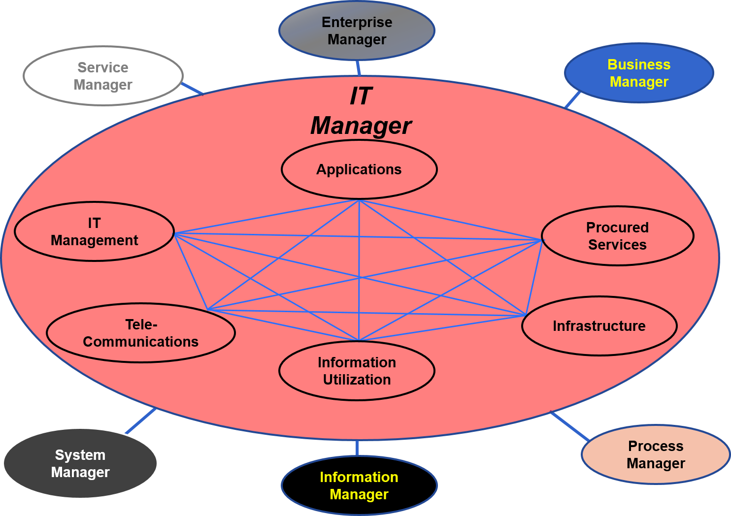 What are the roles and responsibilities of an it manager